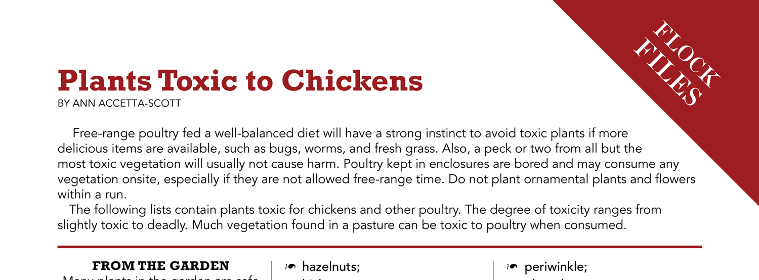 Plants Toxic to Chickens Backyard Poultry